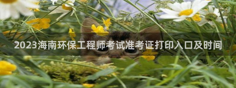 彩名堂.netnet：2023海南环