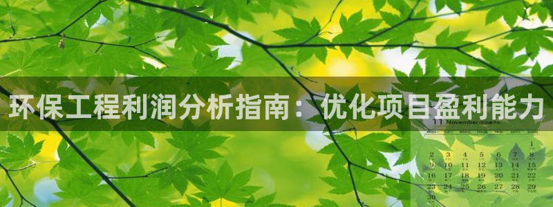 彩名堂手机客户端：环保工程利润分析指