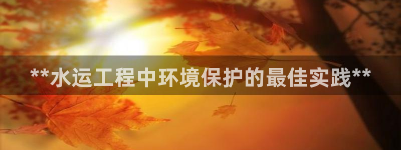 彩名堂app2.05版本：**水运工