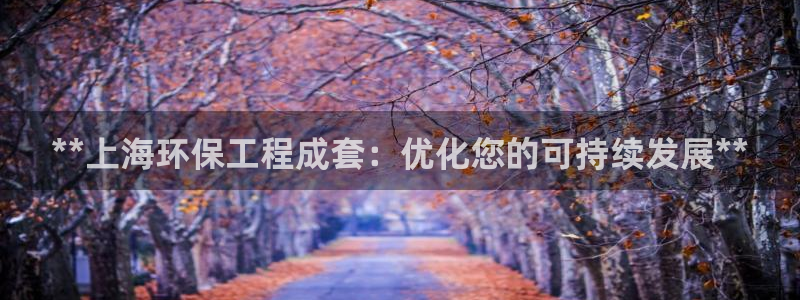 彩名堂和01计划哪个好：**上海环保工程成套：优化您的可持续发展**