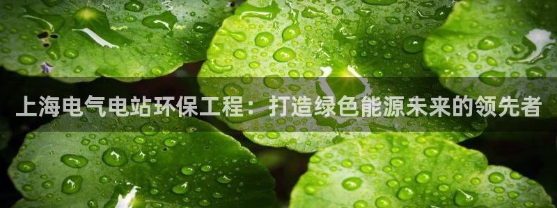 彩名堂为啥不准了乱变：上海电气电站环