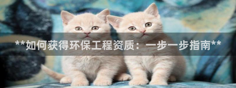 彩名堂是什么：**如何获得环保工程资