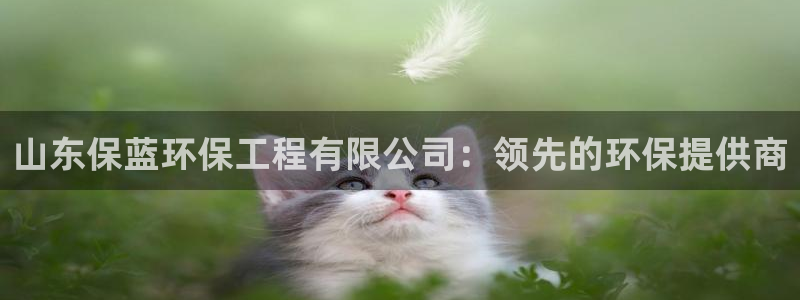 彩名堂预测计划：山东保蓝环保工程有限