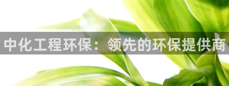 彩名堂计划怎么跟不挂：中化工程环保：