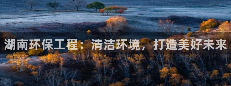 彩名堂5.0计划永久免费版为什么下不
