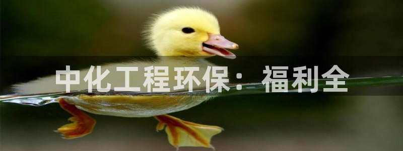 彩名堂改名稻草人了吗：中化工程环保：
