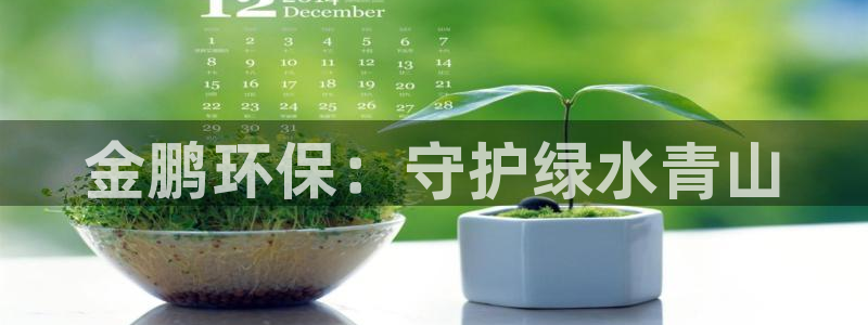 彩名堂首页：金鹏环保：守护绿水青山