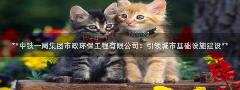 彩名堂计划怎么出的：**中铁一局集团