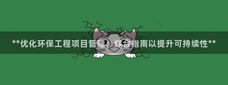 彩名堂平台：**优化环保工程项目管理