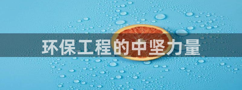 彩名堂.netnet：环保工程的中坚