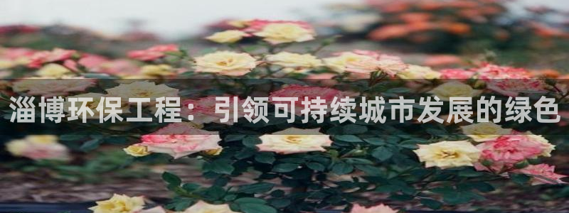 彩名堂平台：淄博环保工程：引领可持续城市发展的绿色