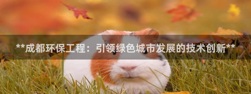 彩名堂计划技巧：**成都环保工程：引