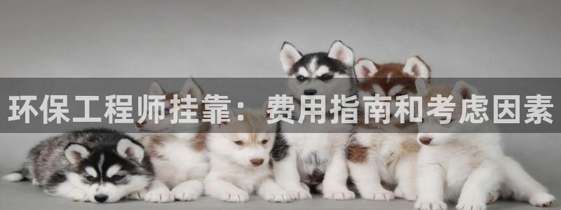 彩名堂app官网：环保工程师挂靠：费