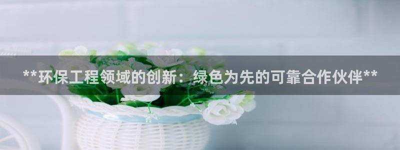 彩名堂用不了：**环保工程领域的创新