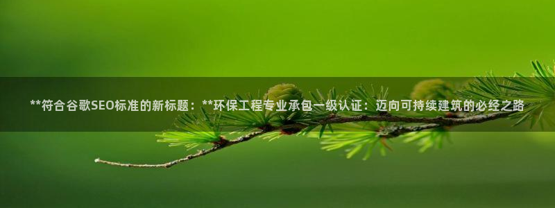 彩名堂官网网页计划：**符合谷歌SE
