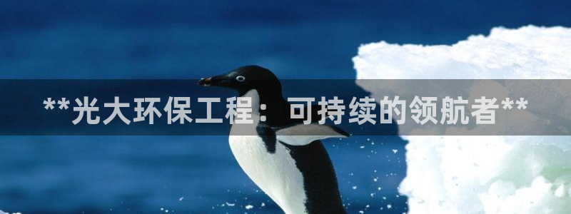 彩名堂计划真的准吗：**光大环保工程