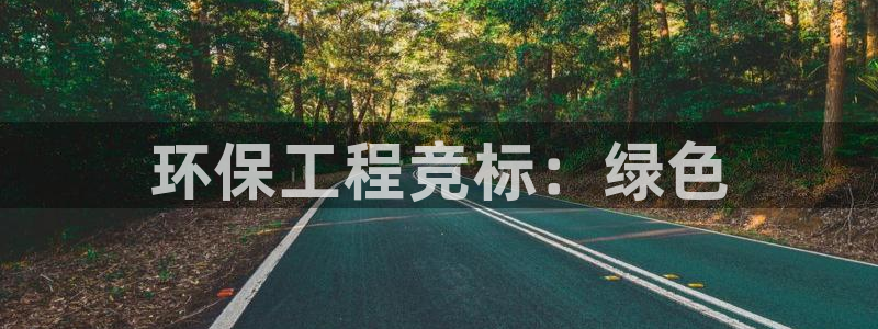 彩名堂是正规的公司吗：环保工程竞标：