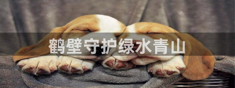 彩名堂app官方网：鹤壁守护绿水青山