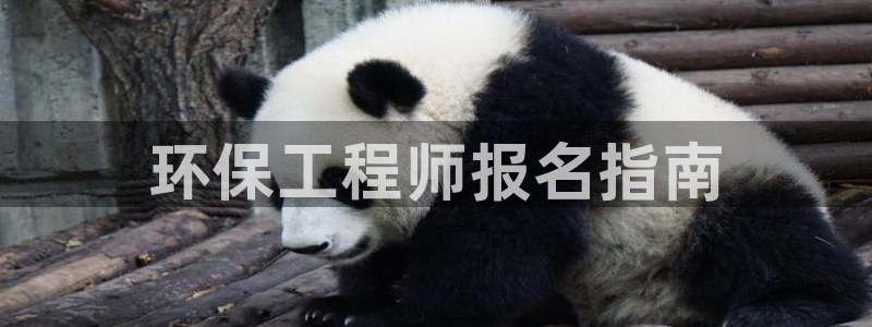 彩名堂苹果版怎么不能用了：环保工程师