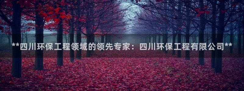 彩名堂免费计划亮点：**四川环保工程领域的领先专家：四川环保工程有限公司**