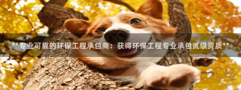 彩名堂手机客户端官网：**专业可靠的