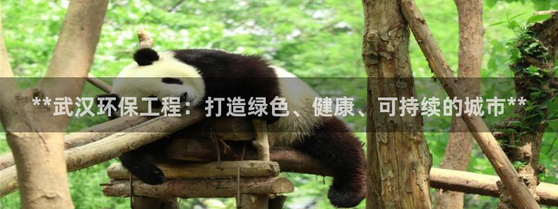 彩名堂01计划：**武汉环保工程：打