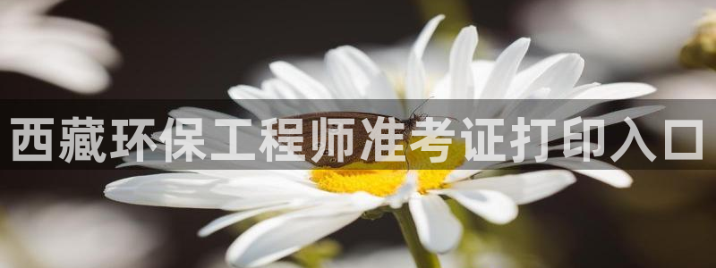 彩名堂安卓客户端官网：西藏环保工程师