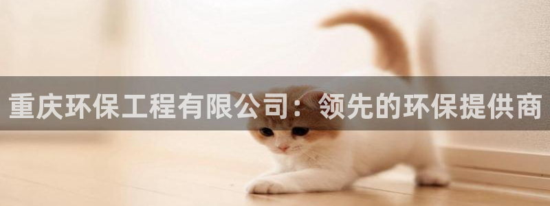 彩名堂预测官网：重庆环保工程有限公司