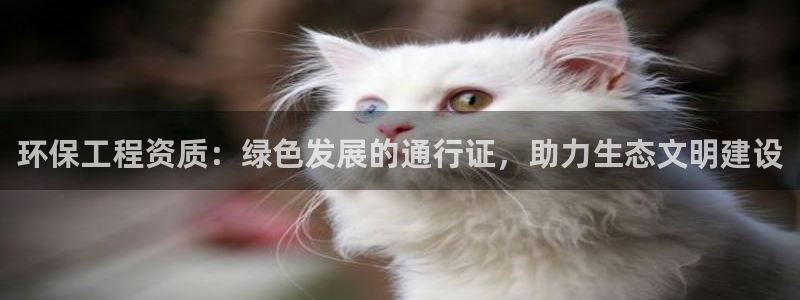 彩名堂5.0计划：环保工程资质：绿色