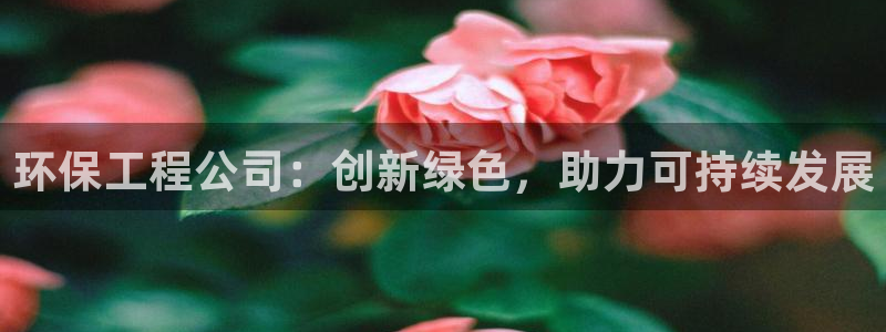 彩名堂怎么买准确率高一点：环保工程公