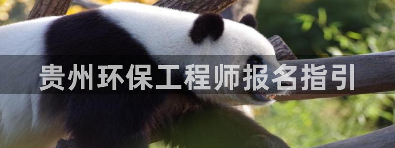老版彩名堂：贵州环保工程师报名指引
