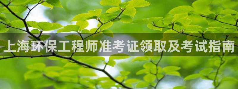 彩名堂计划app新版：上海环保工程师准考证领取及考试指南