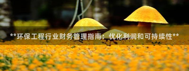 彩名堂v1.0.6：**环保工程行业财务管理指南：优化利润和可持续性**