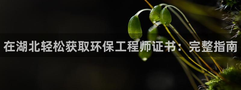 彩名堂免费计划官网5.0app：在湖