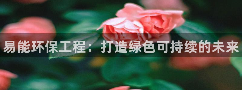 彩名堂免费计划5.0使用方法是什么：