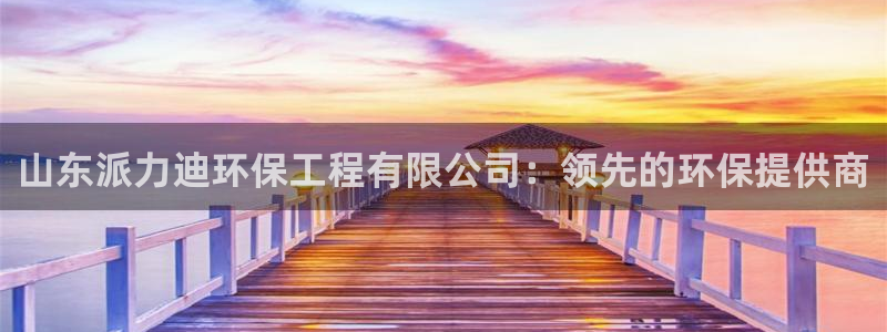 彩名堂计划技巧有哪些：山东派力迪环保