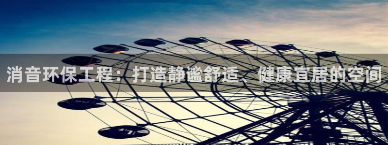 彩名堂怎么打不开了：消音环保工程：打