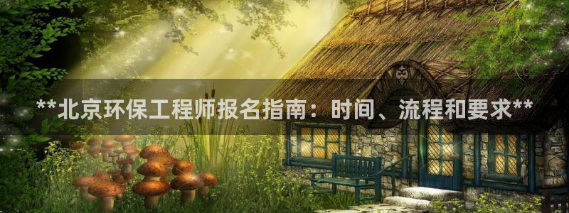 彩名堂为啥又不能用了：**北京环保工程师报名指南：时间、流程和要求**