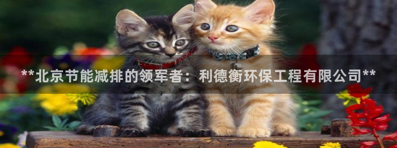 彩名堂客服：**北京节能减排的领军者