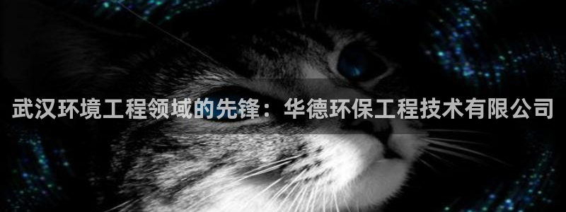 彩名堂人工预测免费计划：武汉环境工程
