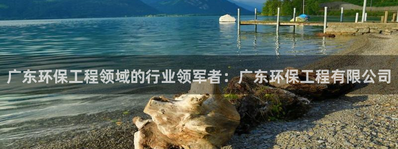 彩名堂免费计划下载：广东环保工程领域的行业领军者：广东环保工程有限公司