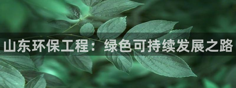 彩名堂计划官方客服：山东环保工程：绿