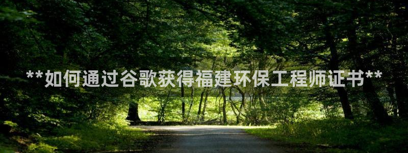 彩名堂平台：**如何通过谷歌获得福建
