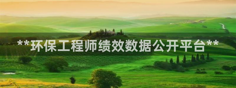 彩名堂客户端官网：**环保工程师绩效