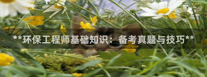 彩名堂人工计划客户端：**环保工程师