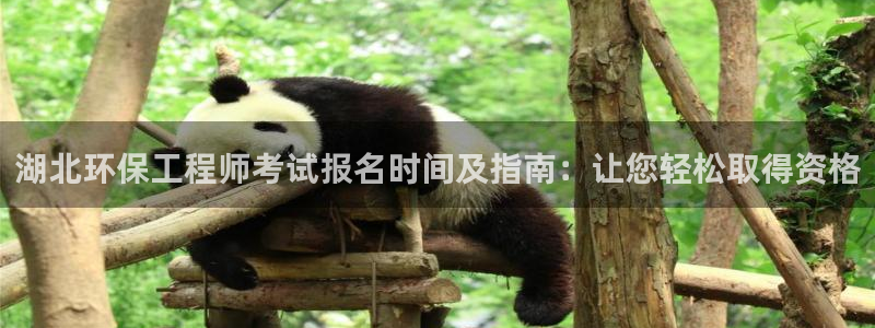 彩名堂官网计划：湖北环保工程师考试报