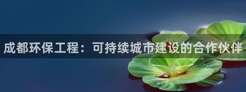 彩名堂计划怎么跟,为什么我一跟就挂：