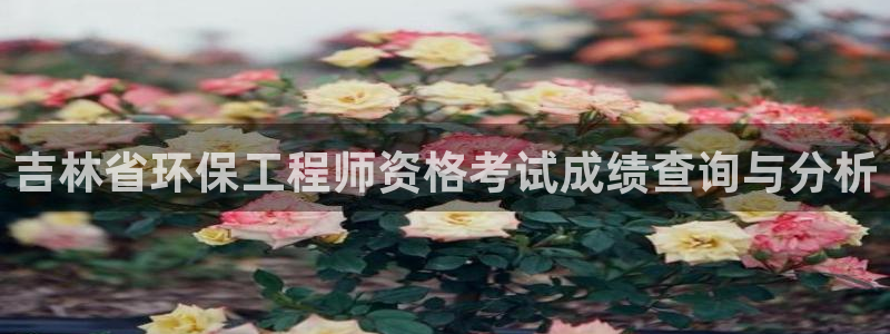彩名堂移动客户端怎么下载：吉林省环保工程师资格考试成绩查询与分析