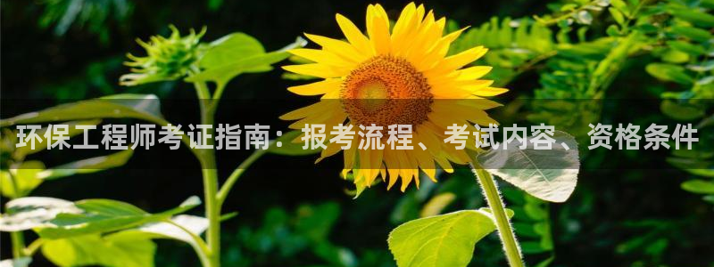 彩名堂官方软件下载：环保工程师考证指