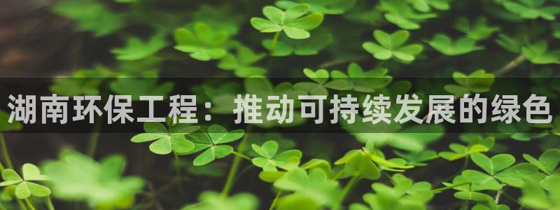 彩名堂移动客户端官网：湖南环保工程：推动可持续发展的绿色